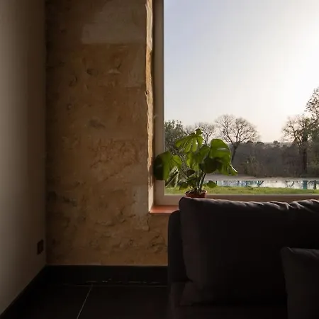 Chateau Caillivet Au Coeur D'un Vignoble Bio 14 Personnes Дом отдыха