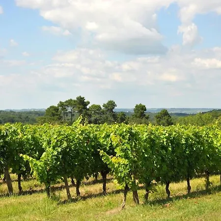 Chateau Caillivet Au Coeur D'un Vignoble Bio 14 Personnes Дом отдыха