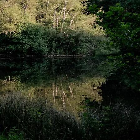 Дом отдыха Chateau Caillivet Au Coeur D'un Vignoble Bio 14 Personnes *