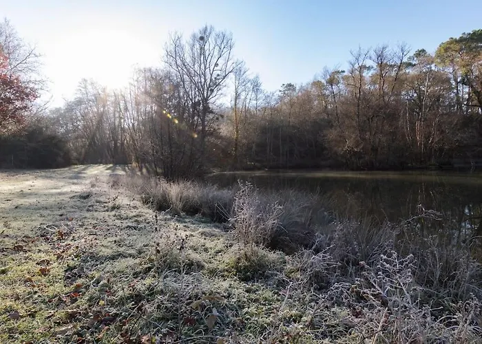 Chateau Caillivet Au Coeur D'un Vignoble Bio 14 Personnes